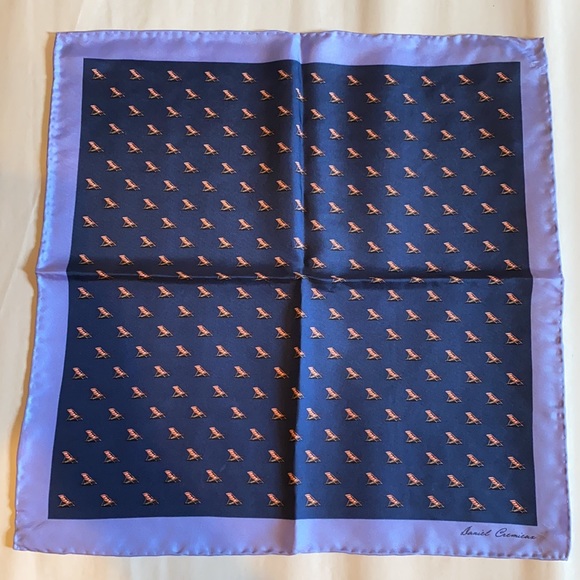 Daniel Cremieux Other - Daniel Cremieux Man’s Packet Square (New)